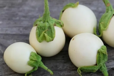تصویر 2 از خرید بادمجان سفید دلمه ای + قیمت عالی با کیفیت